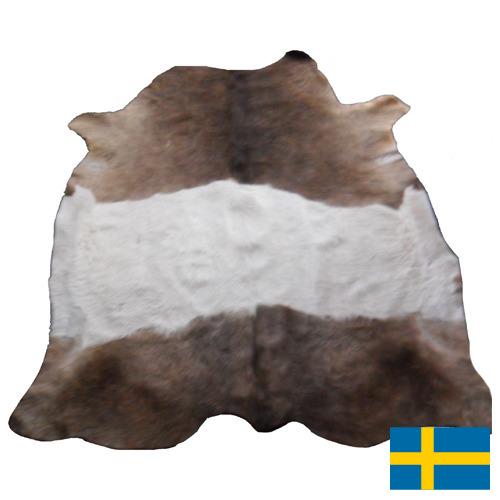 Шкуры крупного рогатого скота из Швеции
