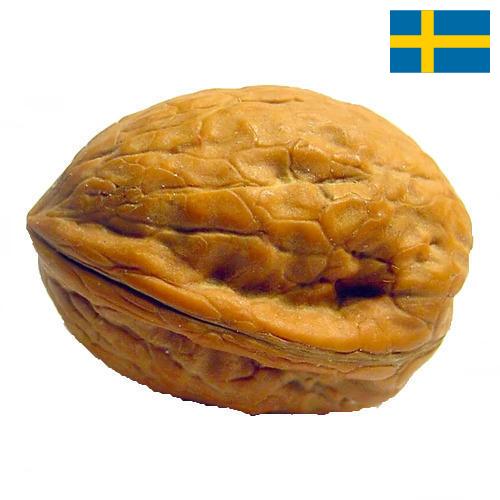 Скорлупа грецкого ореха из Швеции