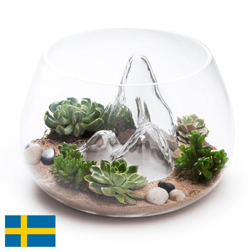 Террариумы из Швеции