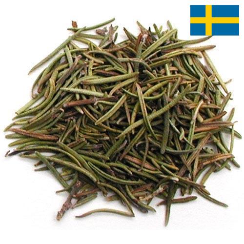 Травы сушеные из Швеции