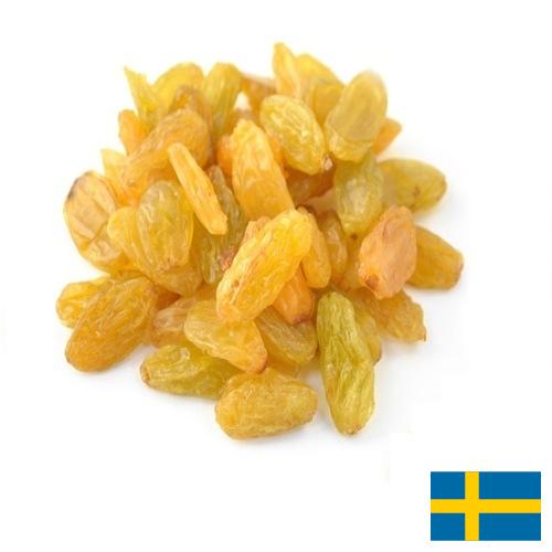 виноград сушеный из Швеции