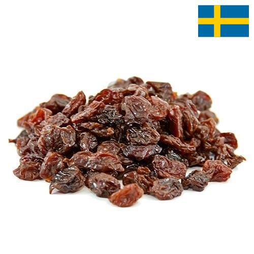 Вишня сушеная из Швеции