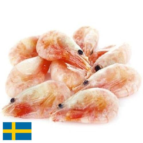 замороженные креветки из Швеции
