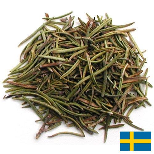 зелень сушеная из Швеции