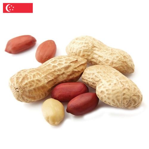 Арахис из Сингапура