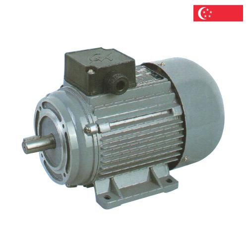 Электродвигатели из Сингапура