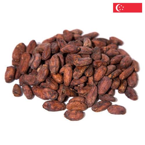 какао-бобы из Сингапура