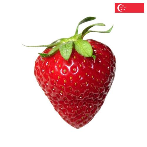 Клубника из Сингапура