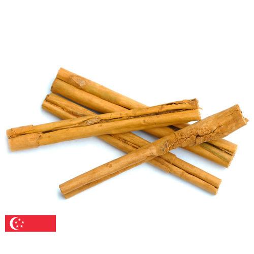 Корица из Сингапура