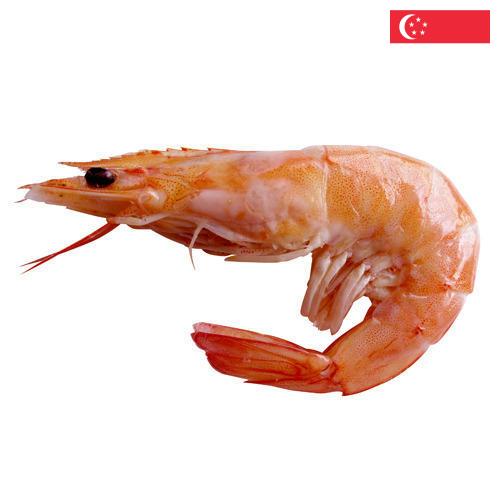Креветки из Сингапура