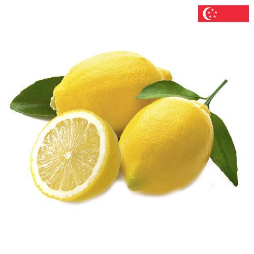 лимон свежий из Сингапура
