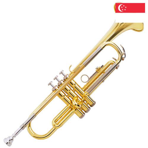 Трубка из Сингапура