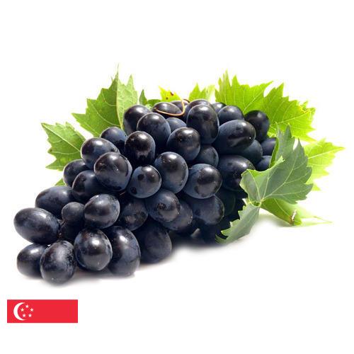 Виноград из Сингапура