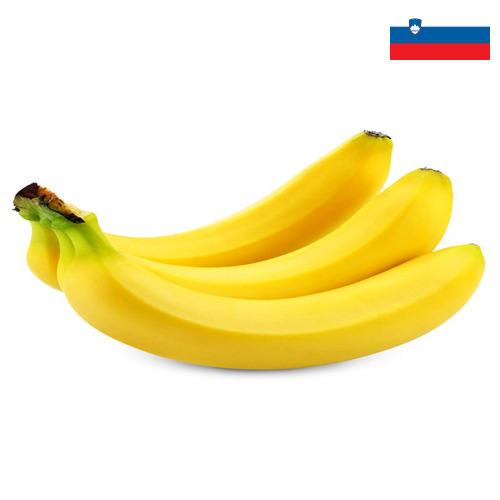 Бананы из Словении