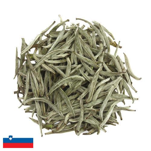 Белый чай из Словении