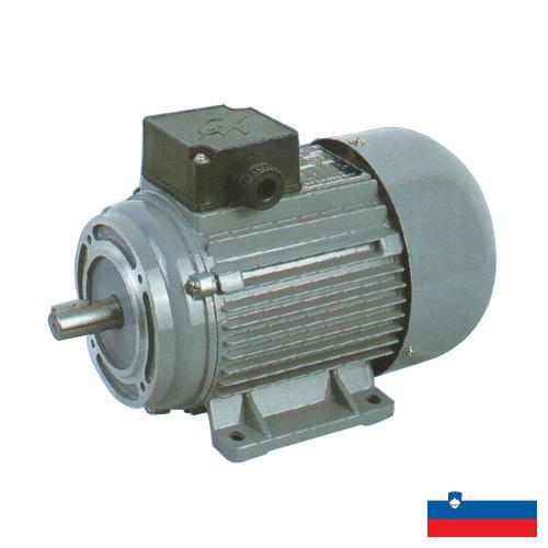 двигатели электрические из Словении