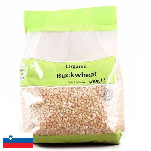 Гречневая крупа из Словении