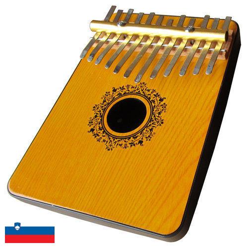 Инструменты ударные из Словении