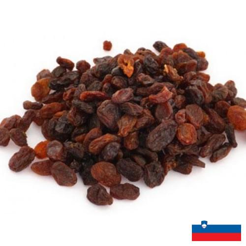 Изюм из Словении