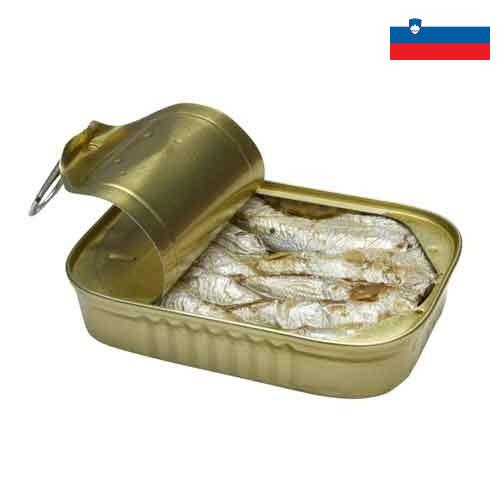 консервы из рыбы из Словении