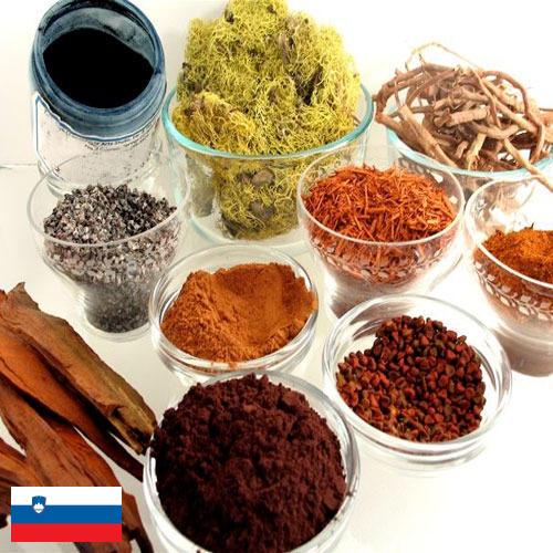 Красители натуральные из Словении