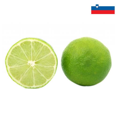 лайм из Словении