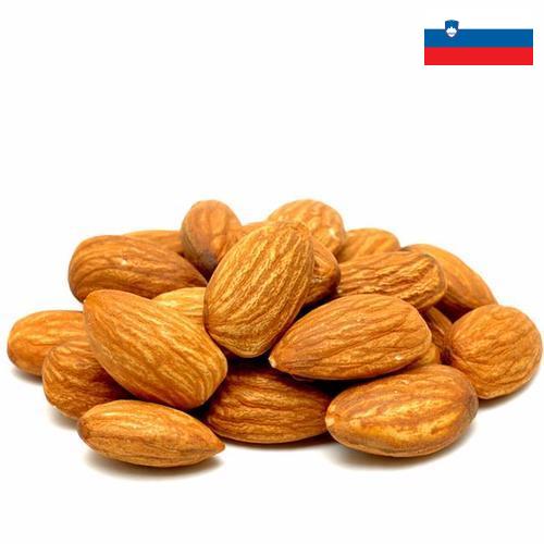 Миндаль из Словении