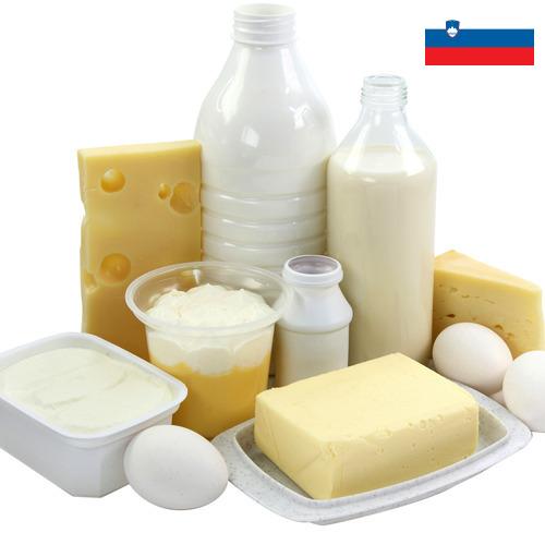 Молочная продукция из Словении