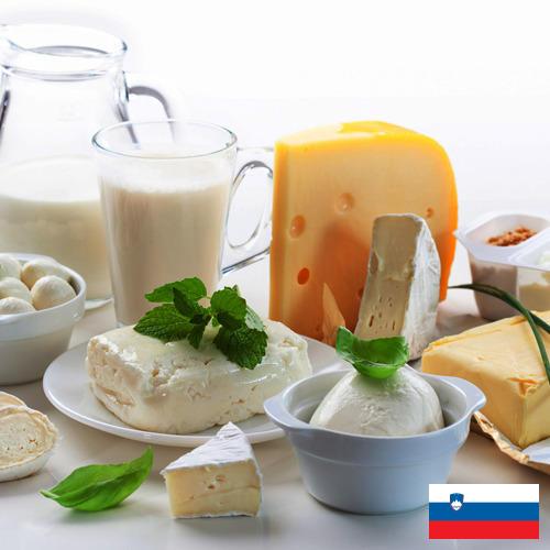 Молочные продукты из Словении