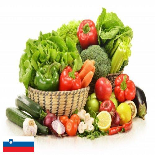 Овощи свежие из Словении