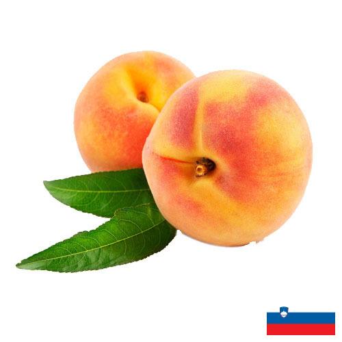 Персики из Словении