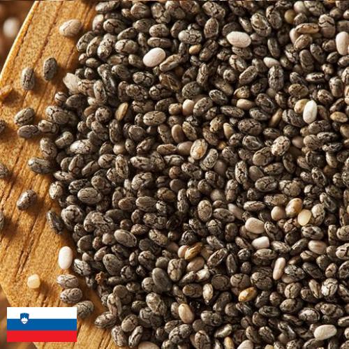 Семена чиа из Словении
