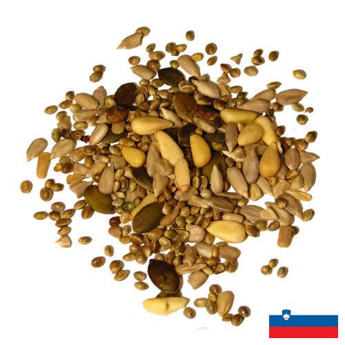 Семена из Словении