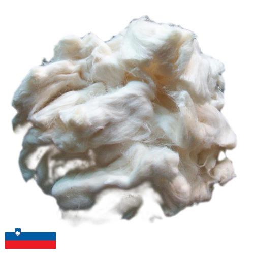 вискоза из Словении