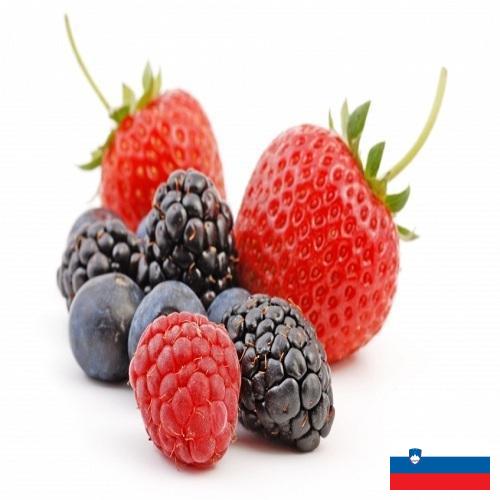Ягоды из Словении
