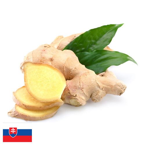 Имбирь из Словакии