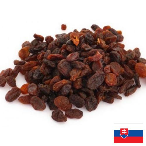 Изюм из Словакии