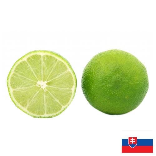 лайм из Словакии