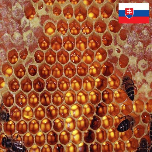 мед оборудование из Словакии