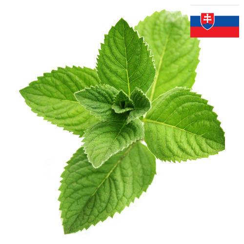 Ментол из Словакии