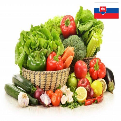 Овощи свежие из Словакии