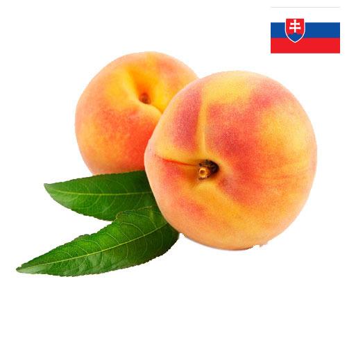 Персики из Словакии