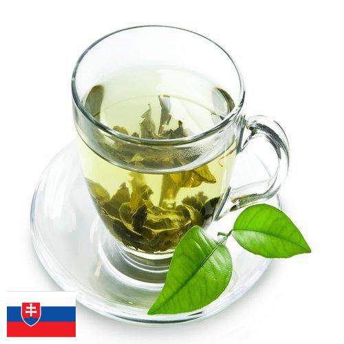 Зеленый чай из Словакии