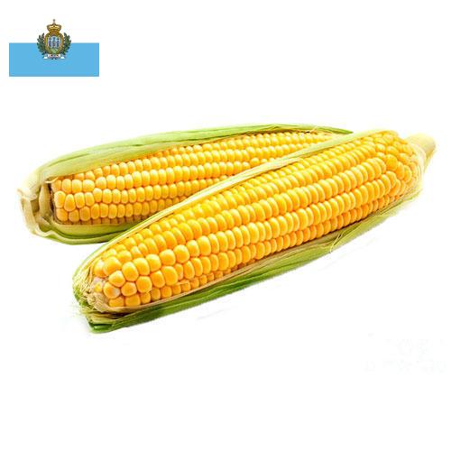 Кукуруза из Сан-Марино