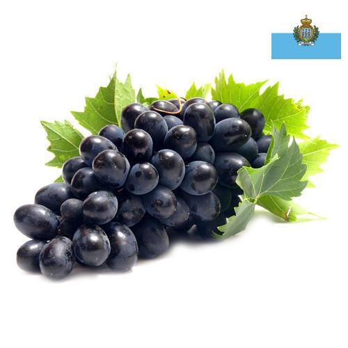 Виноград из Сан-Марино