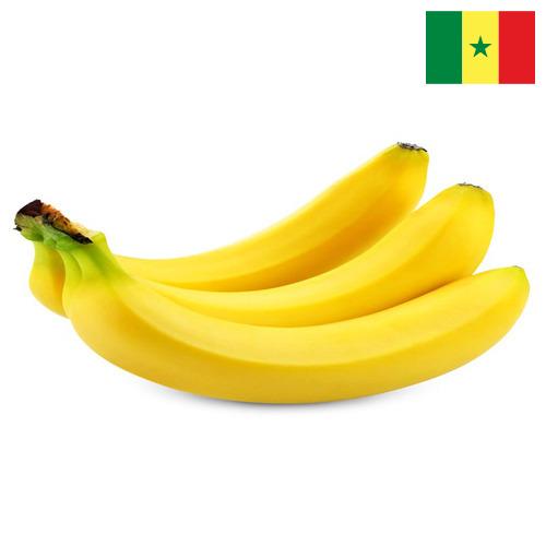 Бананы из Сенегала