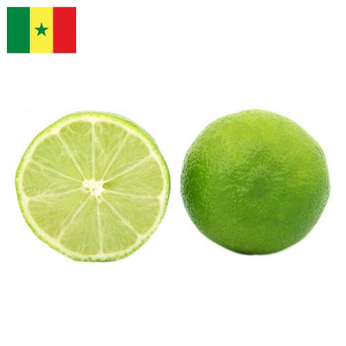 лайм из Сенегала