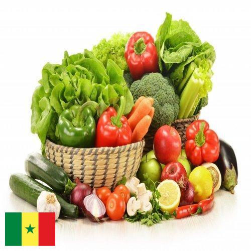 Овощи свежие из Сенегала