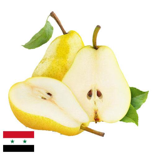 Груши из Сирийской Арабской Республики