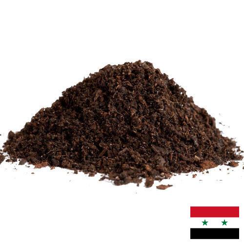 Хумус из Сирийской Арабской Республики